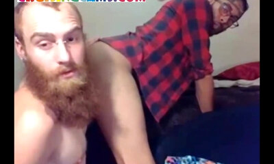 Red-bearded gay Lick ass suck dick live at Cruisingcams.com